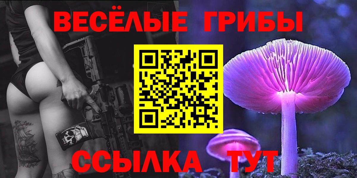 Галлюциногенные грибы ЛСД Александров