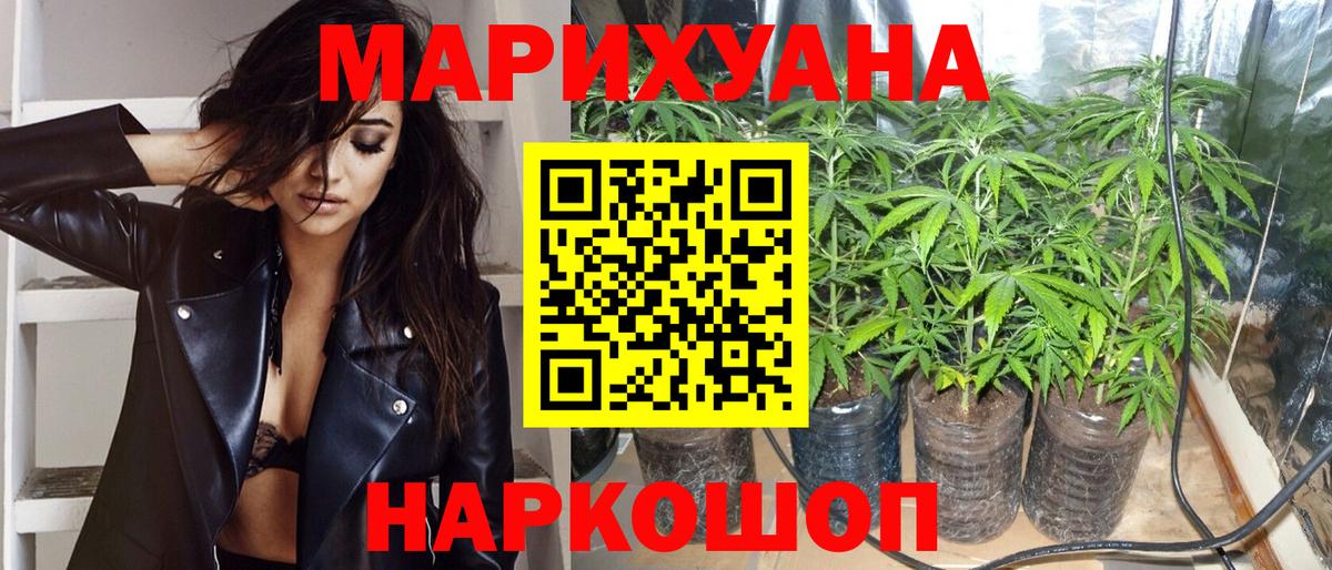 Конопля OG Kush  Бошки Шишки план  Вход с VPN  Александров  Бошки Шишки индика 